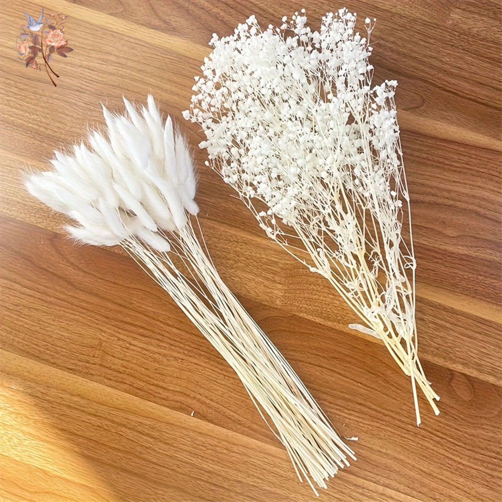 54Pcs White Dried Flower Brida - огляд і ціна Dried Flower Bouquet