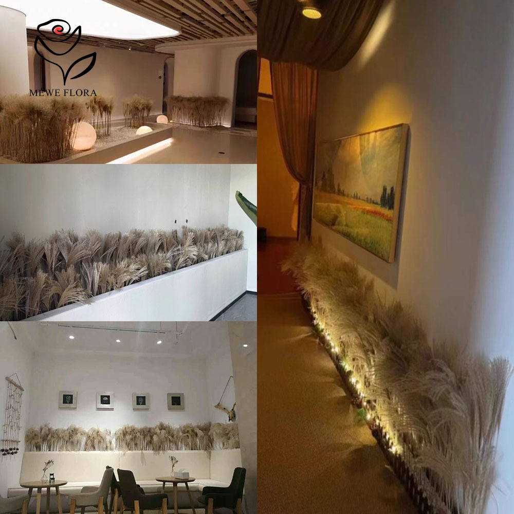 200PCS Natural Dried Fluffy Re - огляд і ціна Dried Flower Bouquet