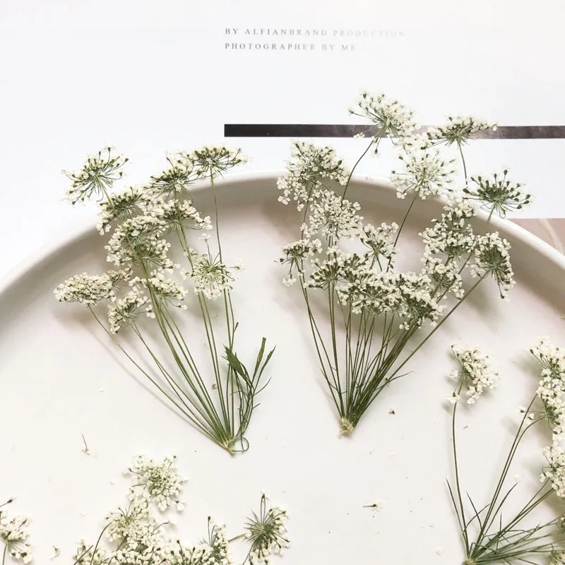5-7cm/12pcs,Snow Tiny Flowers  - огляд і ціна Dried Flower Bouquet