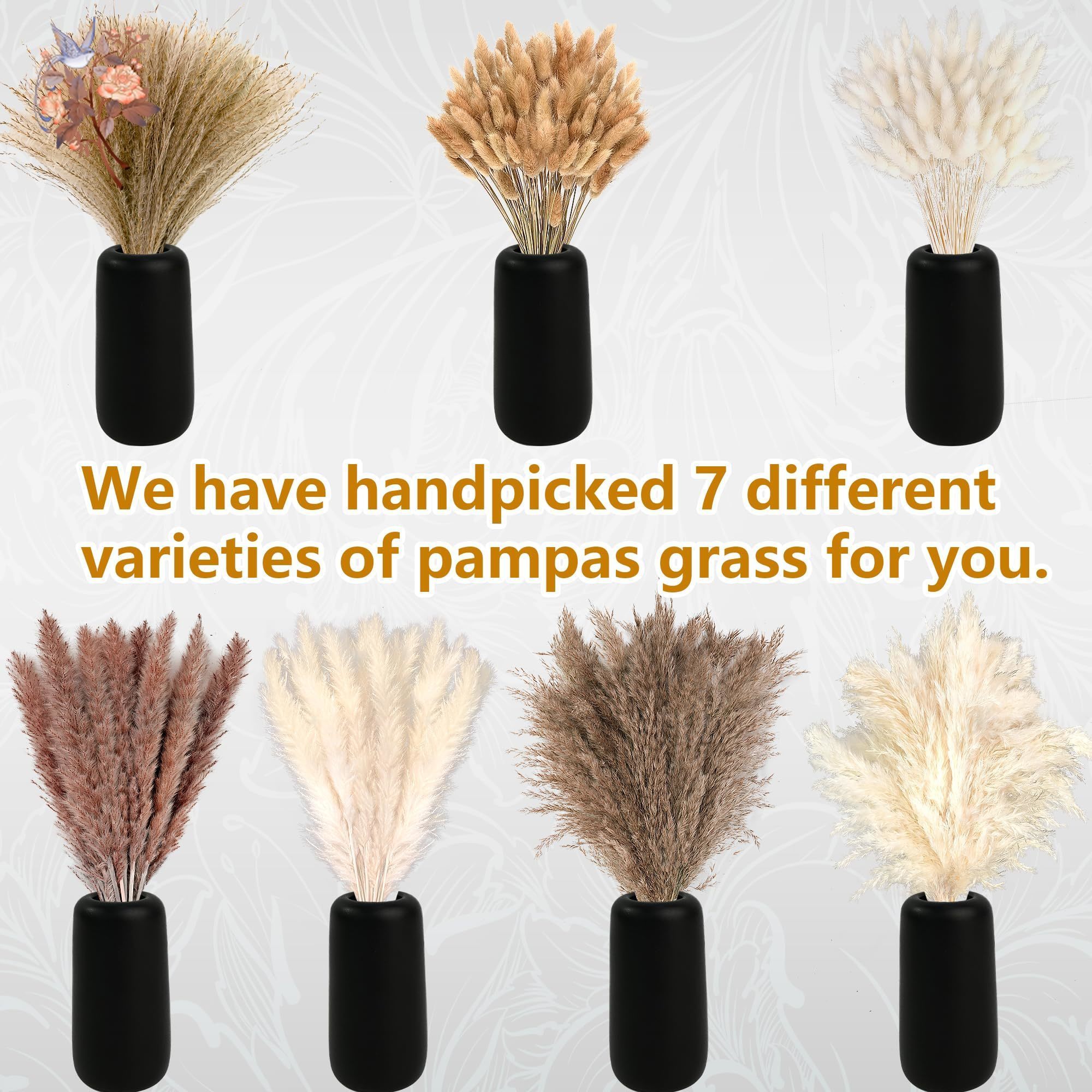 300Pcs Natural Large Pampas Gr - огляд і ціна Dried Flower Bouquet
