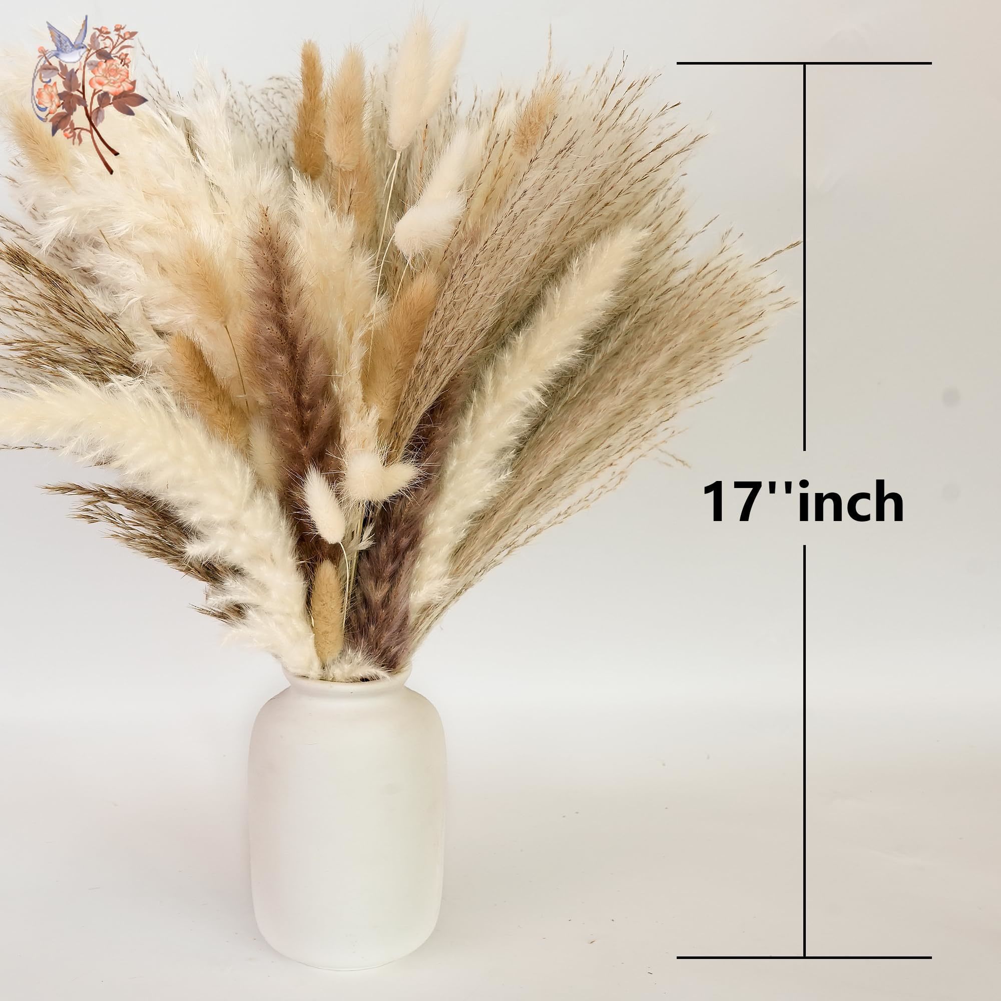300Pcs Natural Large Pampas Gr - огляд і ціна Dried Flower Bouquet