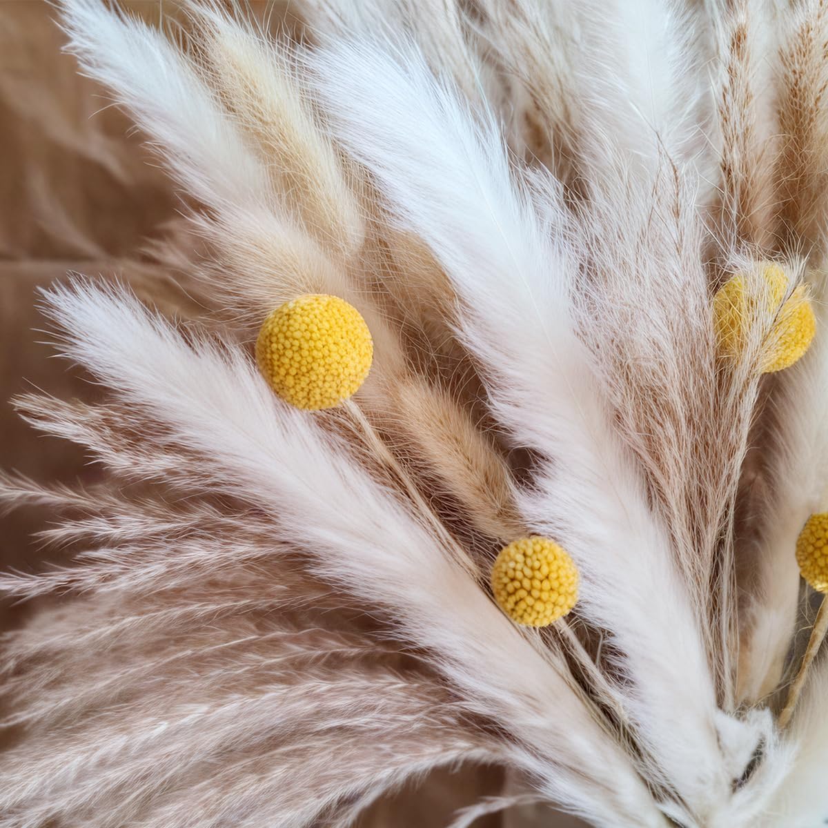 Dried Pampas Grass Bouquet Nat - огляд і ціна Dried Flower Bouquet