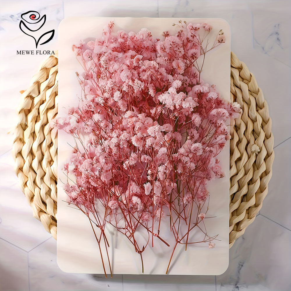 100 Small Branch Dried Baby's  - огляд і ціна Dried Flower Bouquet