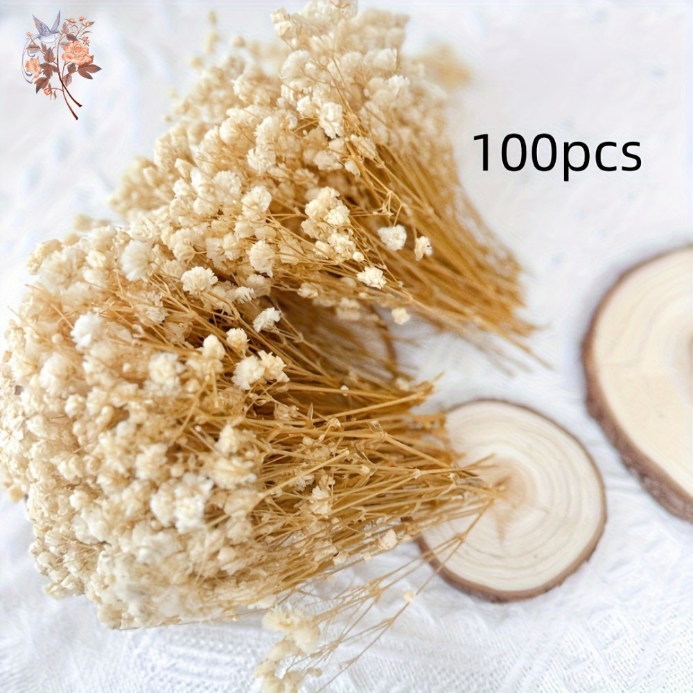 100pcs Mini Dried Baby's Breat - огляд і ціна Dried Flower Bouquet