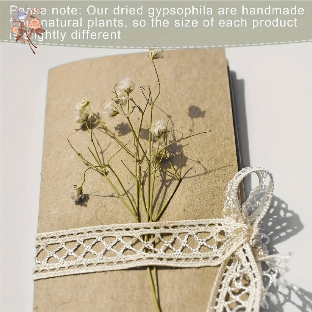 100pcs Mini Dried Baby's Breat - огляд і ціна Dried Flower Bouquet